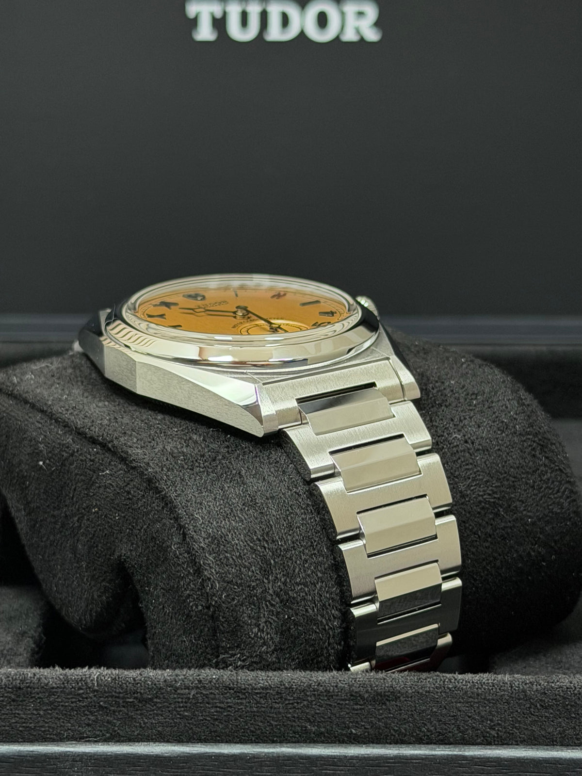 Tudor Monarch / 2026 / Full Set / Top Zustand