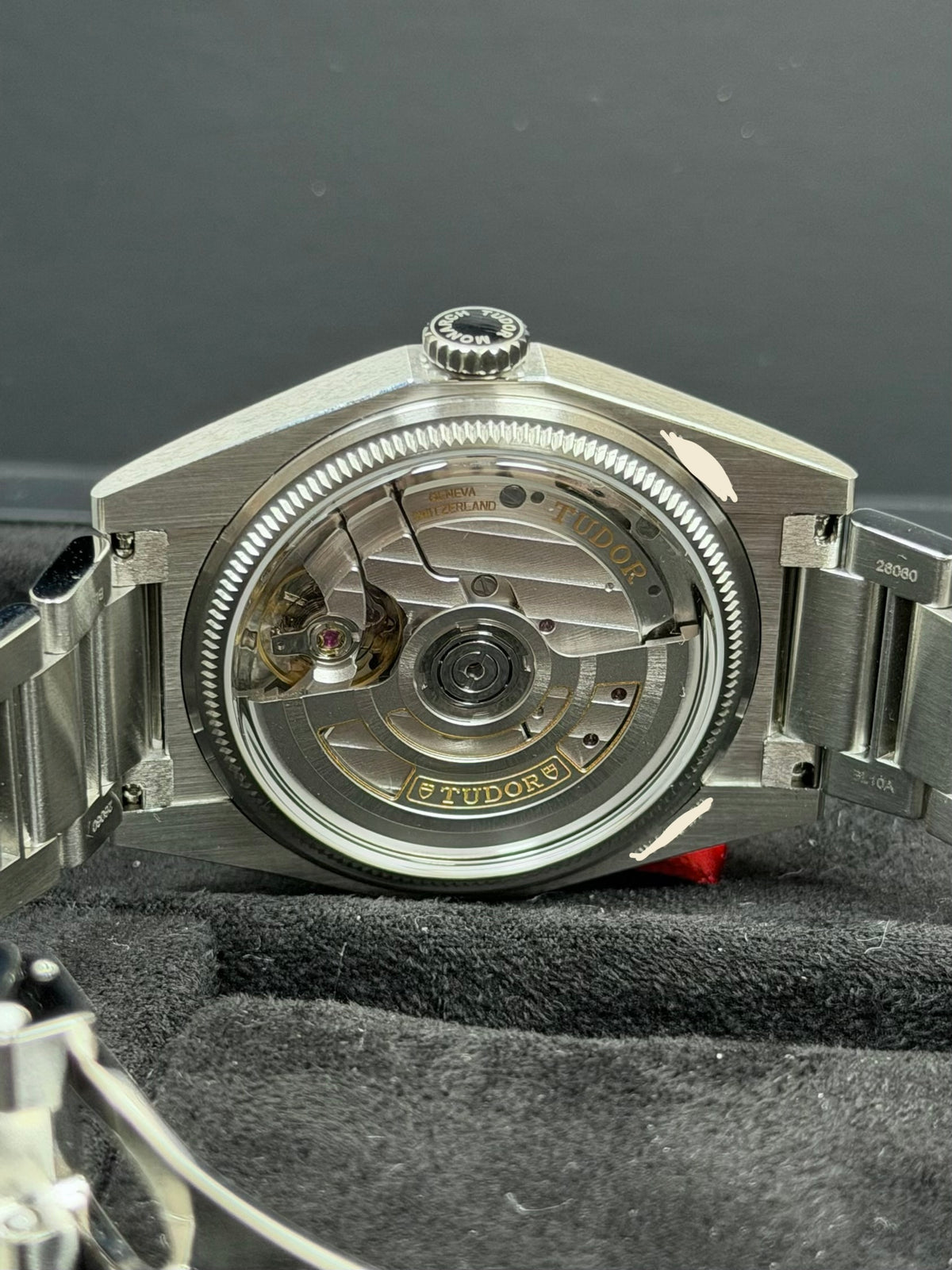 Tudor Monarch / 2026 / Full Set / Top Zustand
