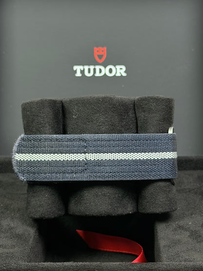 Tudor Pelagos FXD Blau / 2024 / Full Set / Top Zustand