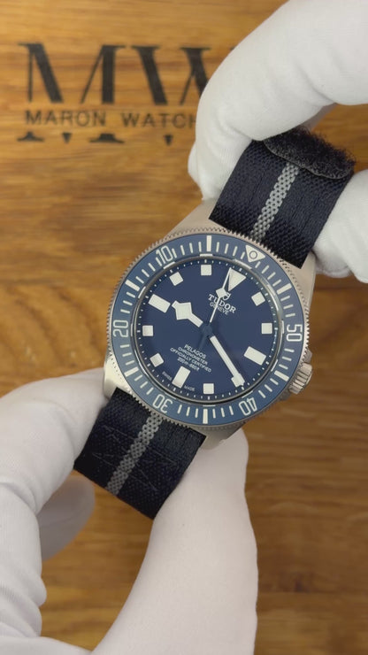 Tudor Pelagos FXD Blau / 2024 / Full Set / Top Zustand